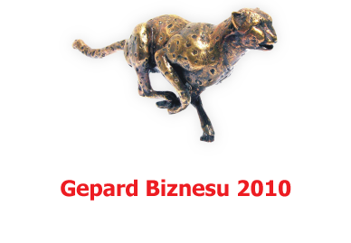 Gepard Biznesu 2001